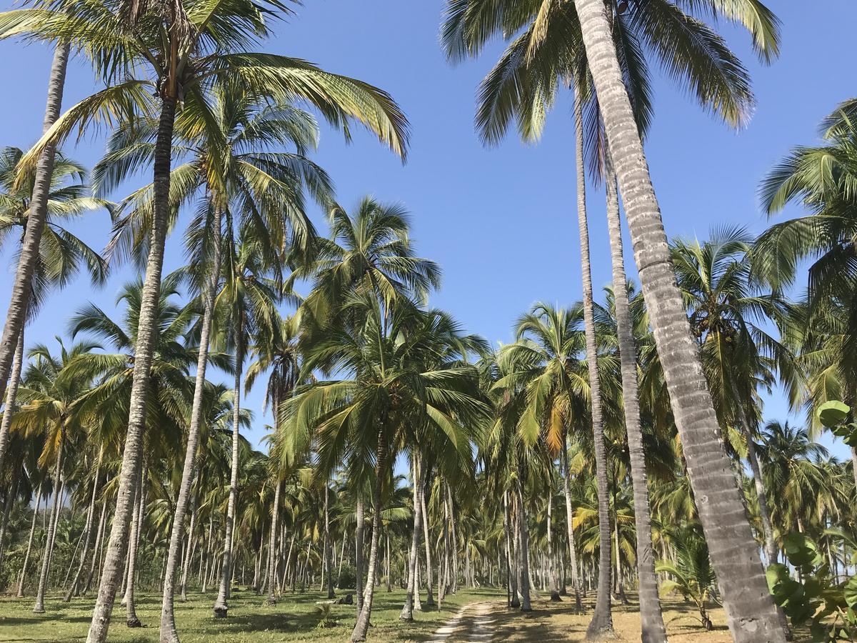 Playa Pikua Ecolodge Guachaca Εξωτερικό φωτογραφία